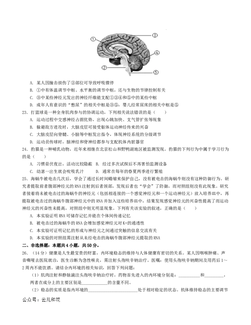 高二生物第一次月考卷（考试版A4）测试范围：第1-2章（人教版2019）_2024-2025高二（7-7月题库）_2024年09月试卷