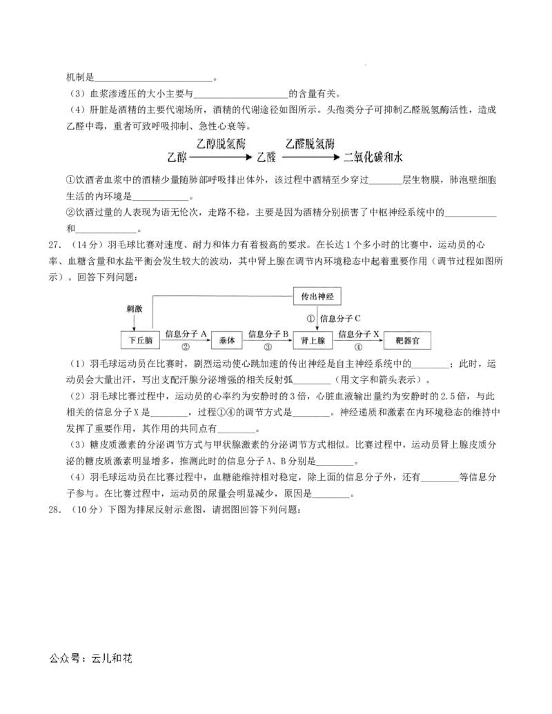 高二生物第一次月考卷（考试版A4）测试范围：第1-2章（人教版2019）_2024-2025高二（7-7月题库）_2024年09月试卷