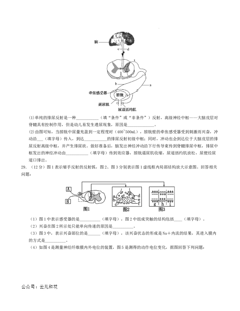 高二生物第一次月考卷（考试版A4）测试范围：第1-2章（人教版2019）_2024-2025高二（7-7月题库）_2024年09月试卷