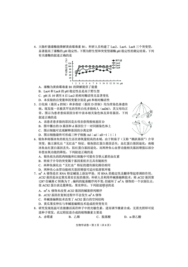红河州、文山州2026届高中毕业生第一次复习统一检测生物_2024-2026高三（6-6月题库）_2025年12月高三试卷_251228云南省红河州、文山州2026届高中毕业生第一次复习统一检测
