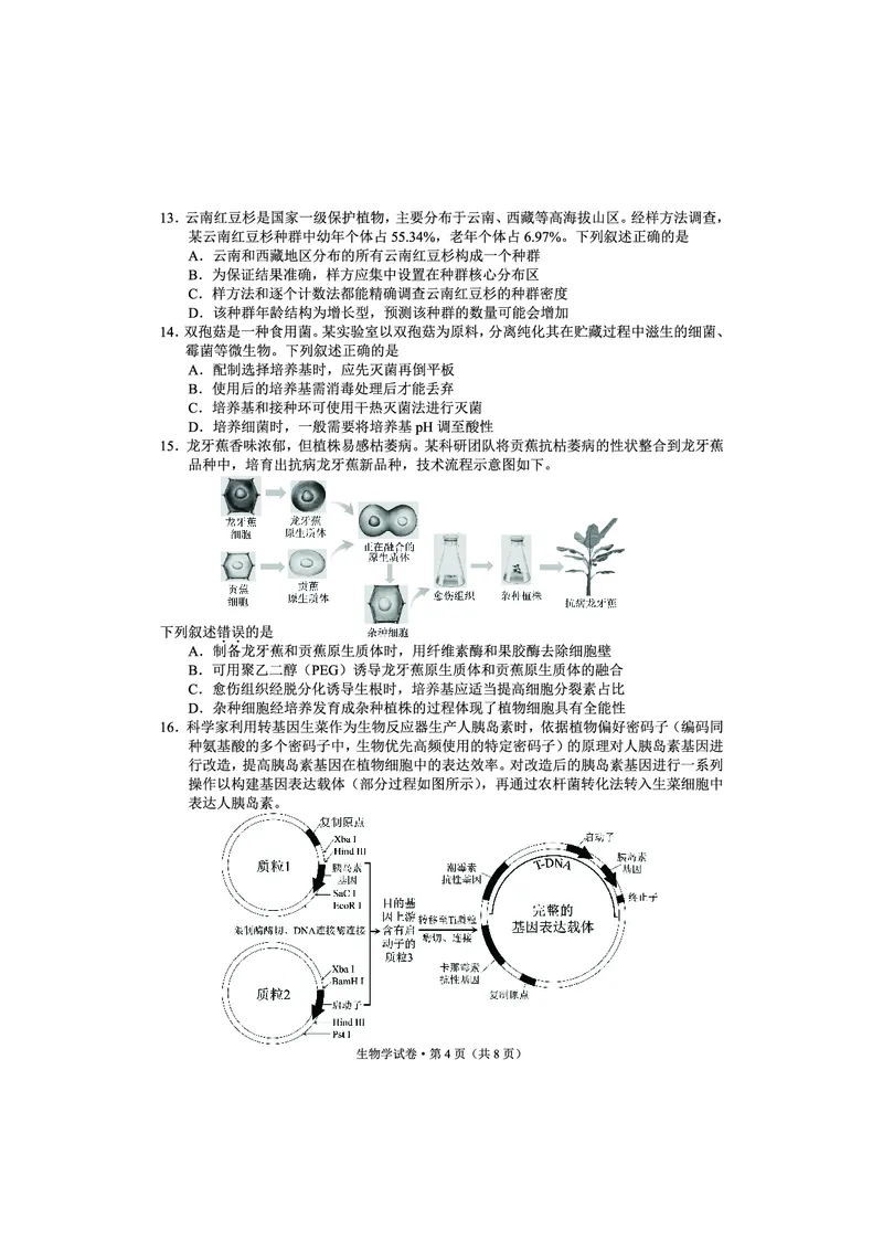 红河州、文山州2026届高中毕业生第一次复习统一检测生物_2024-2026高三（6-6月题库）_2025年12月高三试卷_251228云南省红河州、文山州2026届高中毕业生第一次复习统一检测