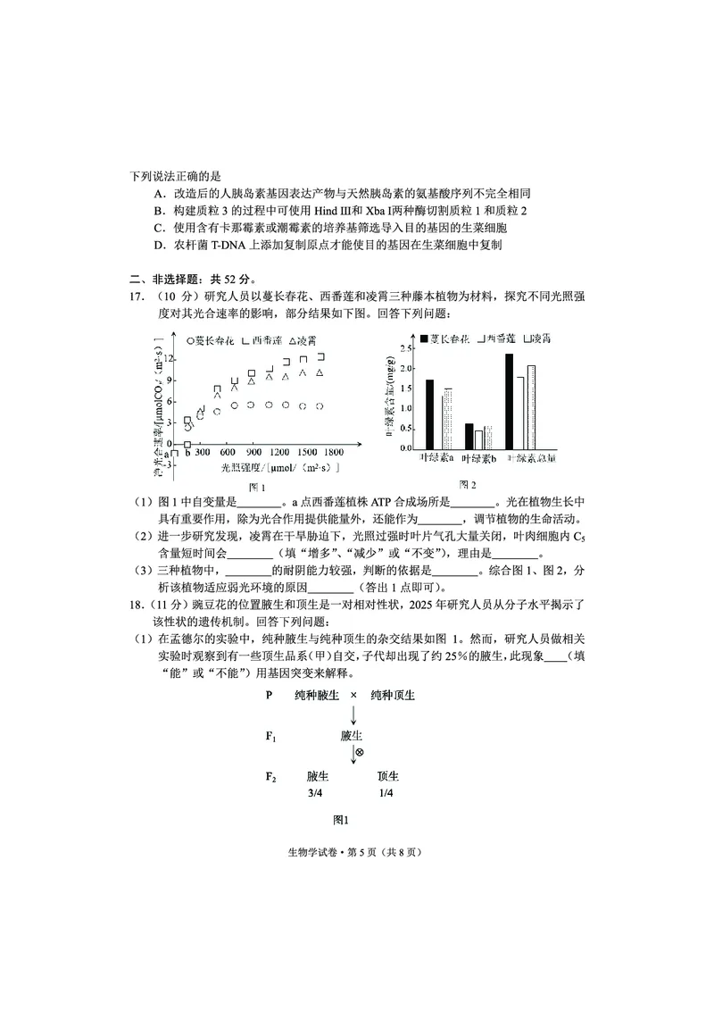 红河州、文山州2026届高中毕业生第一次复习统一检测生物_2024-2026高三（6-6月题库）_2025年12月高三试卷_251228云南省红河州、文山州2026届高中毕业生第一次复习统一检测