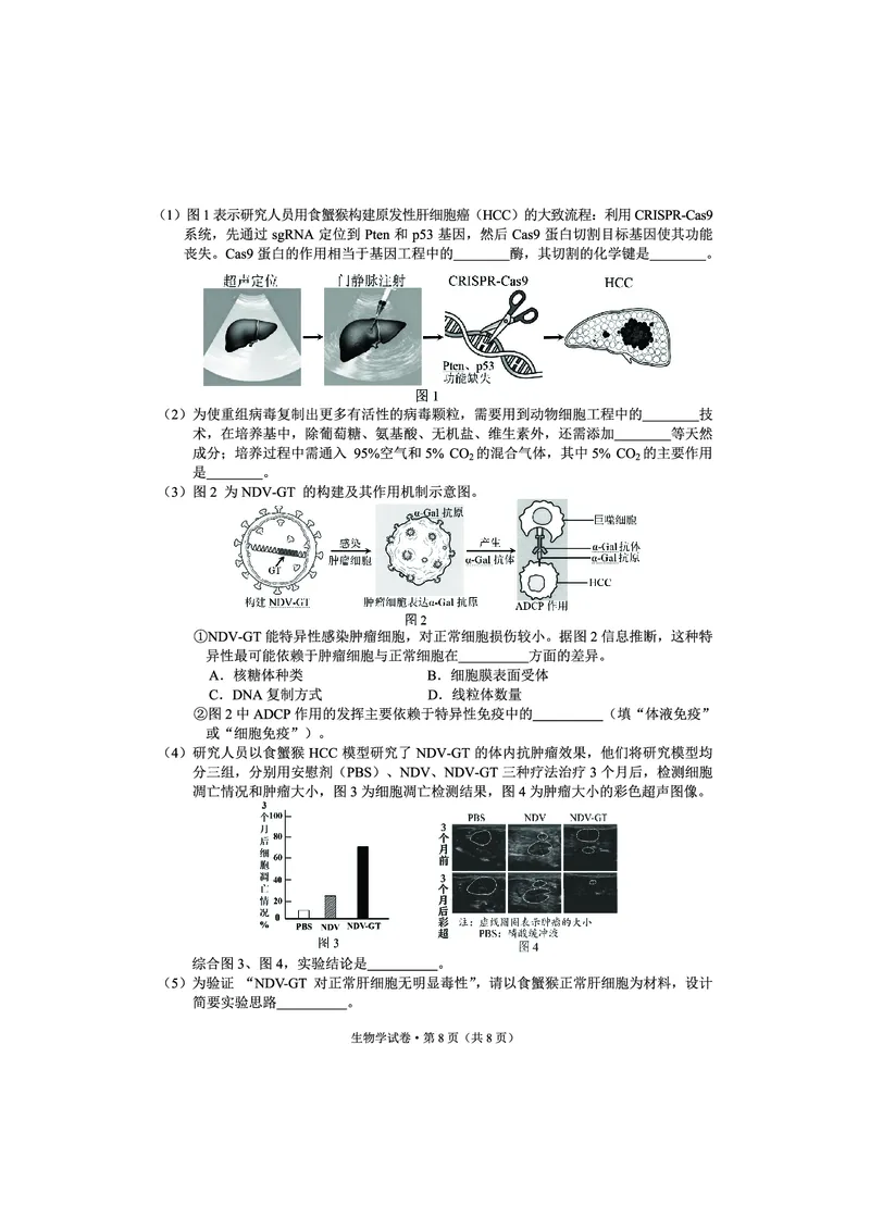 红河州、文山州2026届高中毕业生第一次复习统一检测生物_2024-2026高三（6-6月题库）_2025年12月高三试卷_251228云南省红河州、文山州2026届高中毕业生第一次复习统一检测