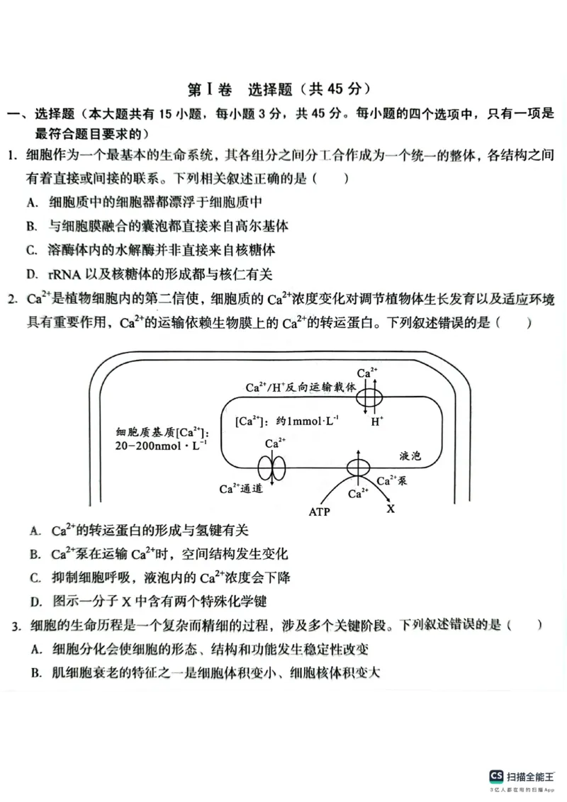 生物A10联盟2025届高三上学期开学考生物学试题和答案_2024-2025高三（6-6月题库）_2024年08月试卷_08282025届安徽A10联盟高三8月底开学摸底联考