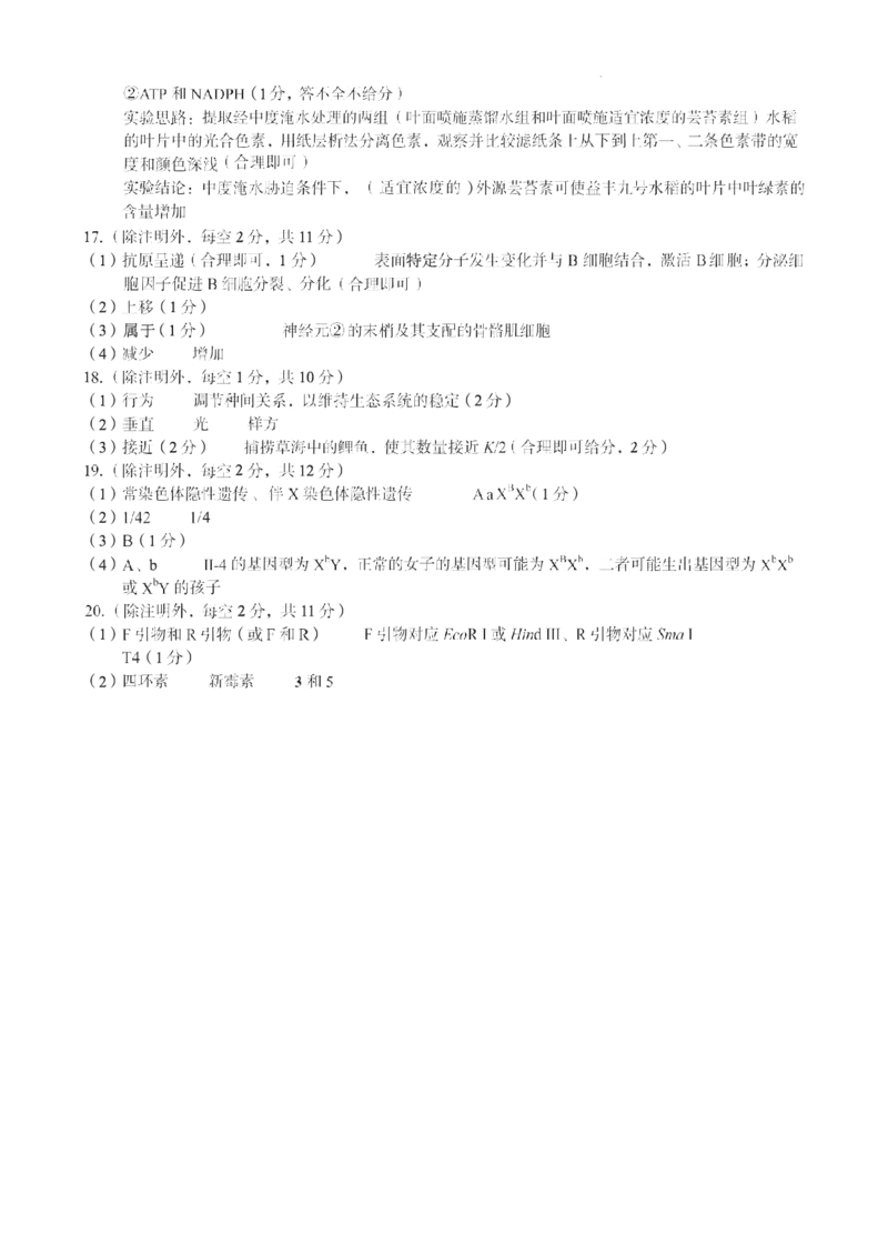 生物A10联盟2025届高三上学期开学考生物学试题和答案_2024-2025高三（6-6月题库）_2024年08月试卷_08282025届安徽A10联盟高三8月底开学摸底联考