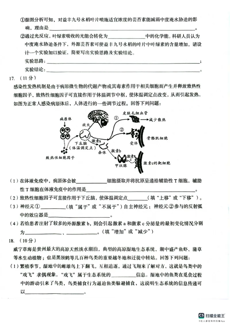 生物A10联盟2025届高三上学期开学考生物学试题和答案_2024-2025高三（6-6月题库）_2024年08月试卷_08282025届安徽A10联盟高三8月底开学摸底联考