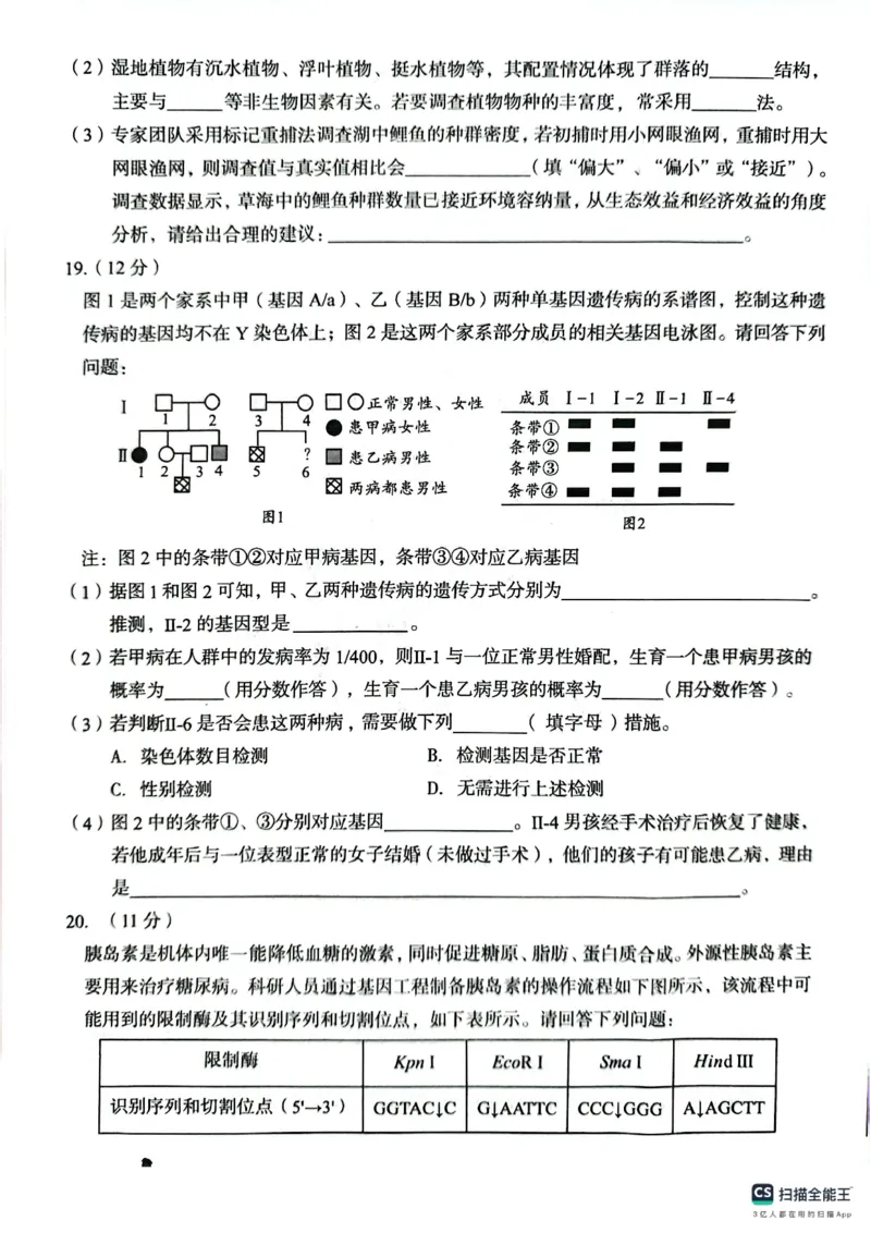 生物A10联盟2025届高三上学期开学考生物学试题和答案_2024-2025高三（6-6月题库）_2024年08月试卷_08282025届安徽A10联盟高三8月底开学摸底联考