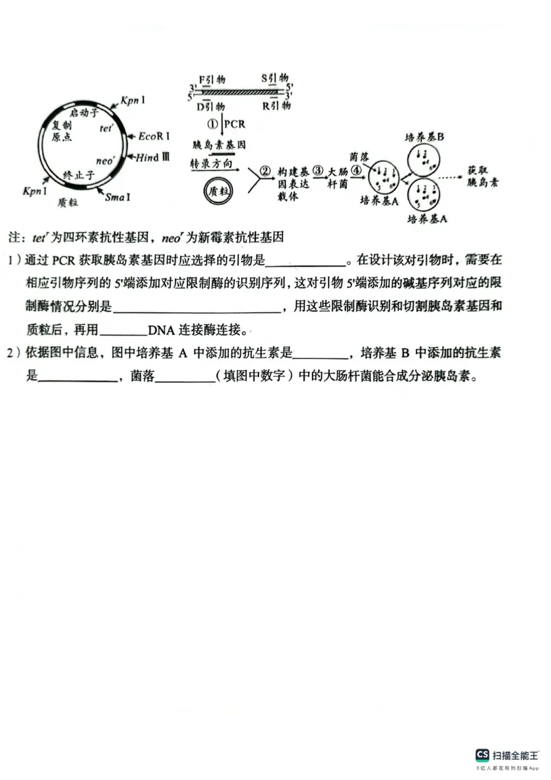 生物A10联盟2025届高三上学期开学考生物学试题和答案_2024-2025高三（6-6月题库）_2024年08月试卷_08282025届安徽A10联盟高三8月底开学摸底联考