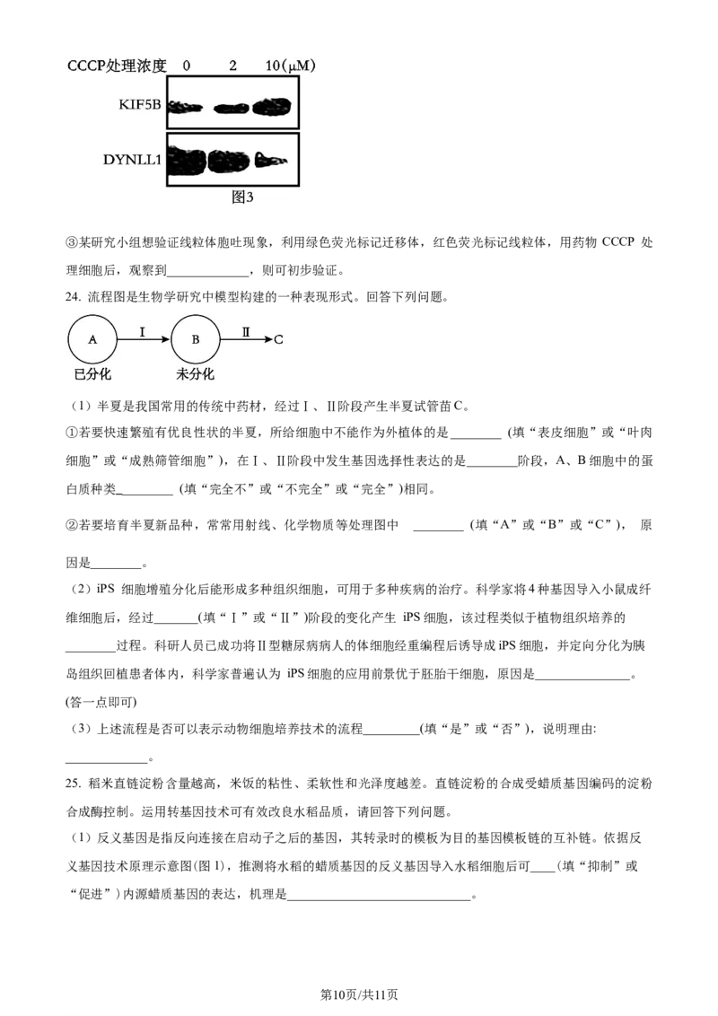 精品解析：辽宁省大连市2023-2024学年高二下学期期末考试生物学试题（原卷版）_2024-2025高三（6-6月题库）_2024年07月试卷_240721辽宁省大连市2023_2024学年高二下学期期末考试