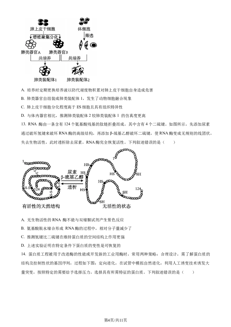 精品解析：辽宁省大连市2023-2024学年高二下学期期末考试生物学试题（原卷版）_2024-2025高三（6-6月题库）_2024年07月试卷_240721辽宁省大连市2023_2024学年高二下学期期末考试
