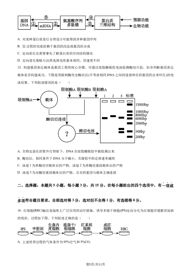 精品解析：辽宁省大连市2023-2024学年高二下学期期末考试生物学试题（原卷版）_2024-2025高三（6-6月题库）_2024年07月试卷_240721辽宁省大连市2023_2024学年高二下学期期末考试