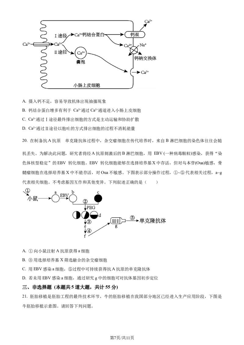 精品解析：辽宁省大连市2023-2024学年高二下学期期末考试生物学试题（原卷版）_2024-2025高三（6-6月题库）_2024年07月试卷_240721辽宁省大连市2023_2024学年高二下学期期末考试