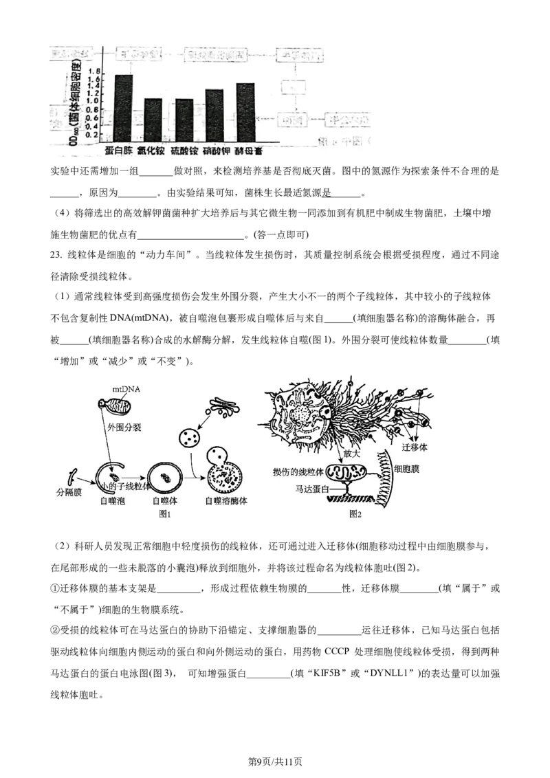 精品解析：辽宁省大连市2023-2024学年高二下学期期末考试生物学试题（原卷版）_2024-2025高三（6-6月题库）_2024年07月试卷_240721辽宁省大连市2023_2024学年高二下学期期末考试