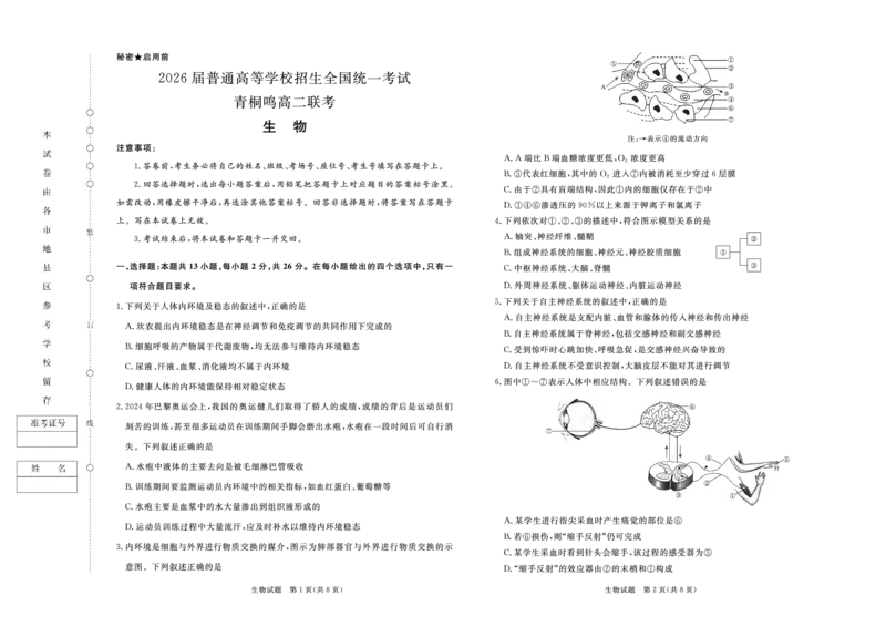 生物-河南青桐鸣大联考2024年高二10月月考_2024-2025高二（7-7月题库）_2024年10月试卷_1019河南省青桐鸣大联考2024年高二10月月考