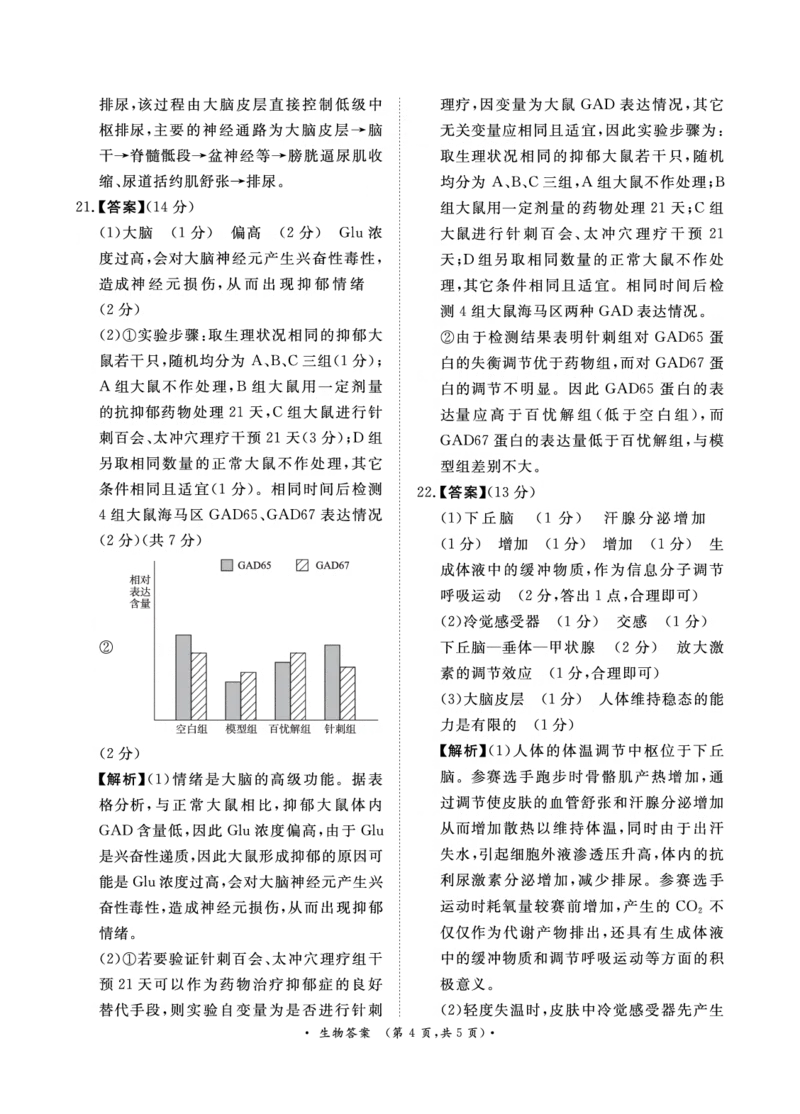 生物-河南青桐鸣大联考2024年高二10月月考_2024-2025高二（7-7月题库）_2024年10月试卷_1019河南省青桐鸣大联考2024年高二10月月考