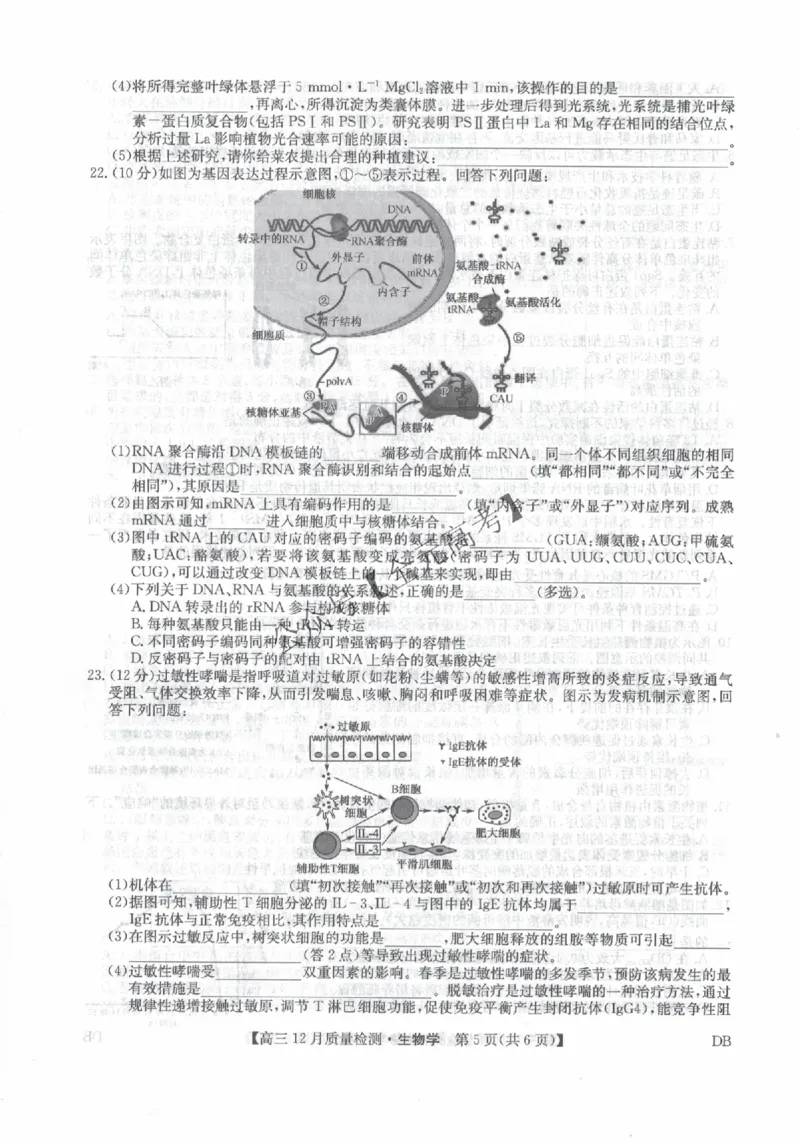 2026届内蒙古自治区乌兰察布市九师联盟高三上学期模拟预测生物试题_2024-2026高三（6-6月题库）_2025年12月高三试卷_251231九师联盟2026届高三12月联考质量检测