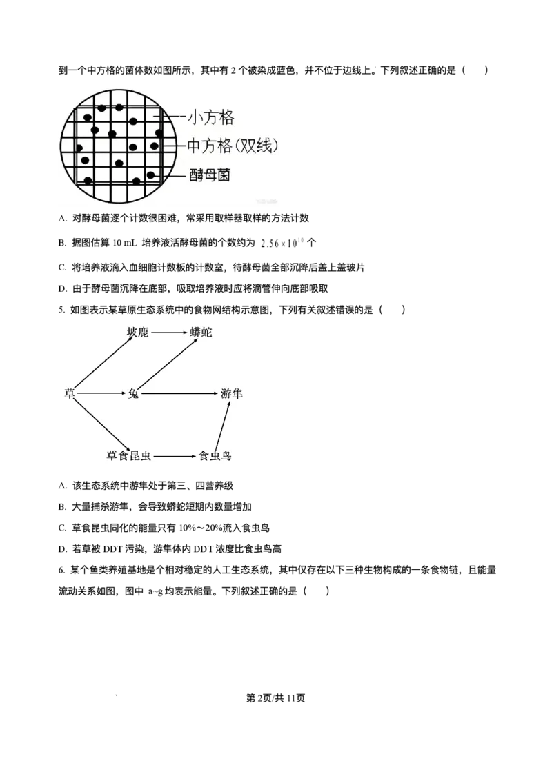 湖南省长沙市第一中学2025-2026学年高二上学期12月月考生物试题含答案_251224湖南省长沙市第一中学2025-2026学年高二上学期12月月考（全）