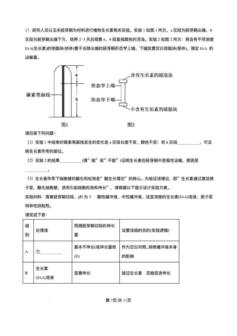 湖南省长沙市第一中学2025-2026学年高二上学期12月月考生物试题含答案_251224湖南省长沙市第一中学2025-2026学年高二上学期12月月考（全）