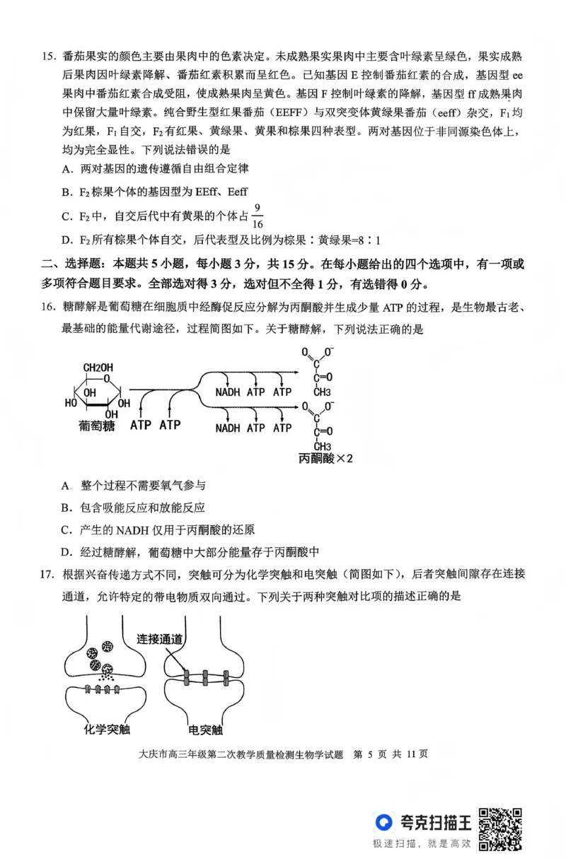 大庆市2026届高三年级第二次教学质量检测生物_2024-2026高三（6-6月题库）_2026年01月高三试卷_0109黑龙江省大庆市2026届高三年级第二次教学质量检测（大庆二模）