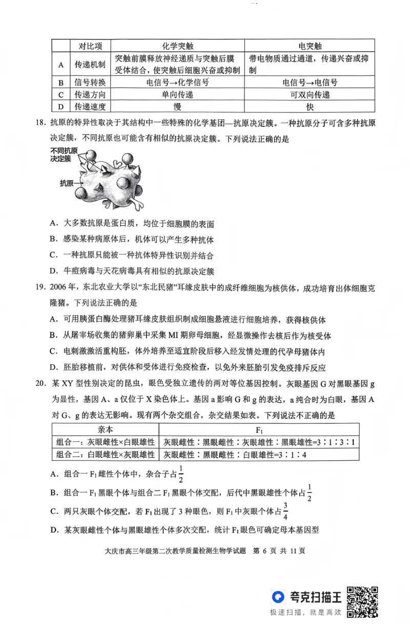 大庆市2026届高三年级第二次教学质量检测生物_2024-2026高三（6-6月题库）_2026年01月高三试卷_0109黑龙江省大庆市2026届高三年级第二次教学质量检测（大庆二模）
