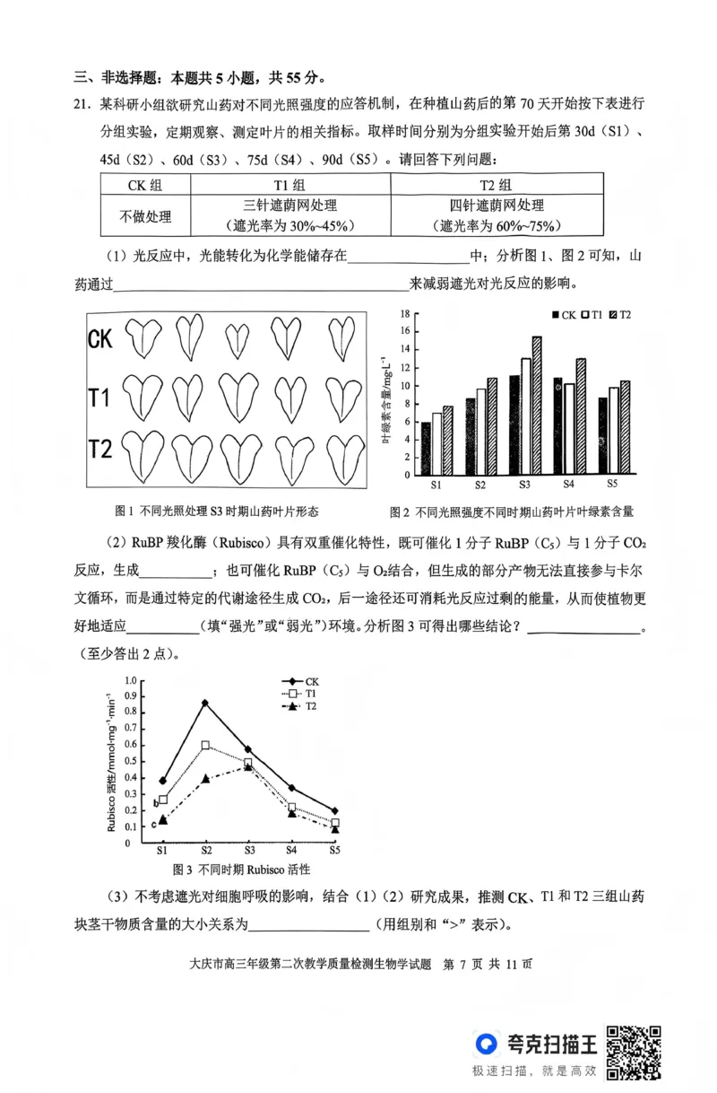 大庆市2026届高三年级第二次教学质量检测生物_2024-2026高三（6-6月题库）_2026年01月高三试卷_0109黑龙江省大庆市2026届高三年级第二次教学质量检测（大庆二模）