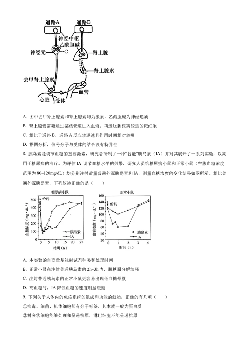 湖南省A佳教育联盟三新教育联考2025-2026学年高二上学期期中联考生物试题（原卷版）_251204湖南省A佳教育联盟三新教育联考2025-2026学年高二上学期期中联考（全）