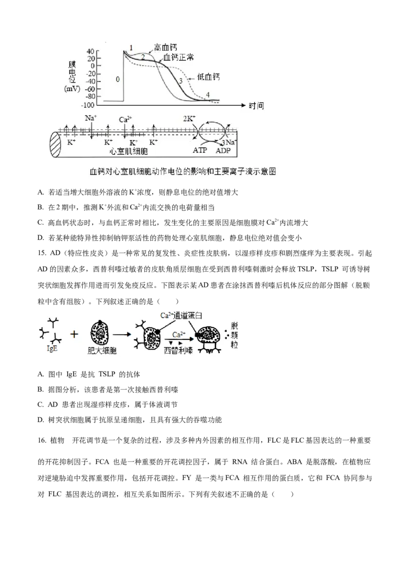湖南省A佳教育联盟三新教育联考2025-2026学年高二上学期期中联考生物试题（原卷版）_251204湖南省A佳教育联盟三新教育联考2025-2026学年高二上学期期中联考（全）