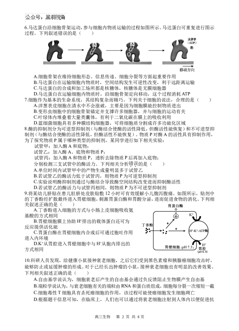 生物试题_2024-2025高三（6-6月题库）_2024年09月试卷_0930四川省遂宁市射洪中学2024-2025学年高三上学期一模_四川省遂宁市射洪中学2024-2025学年高三上学期一模生物试题Word版含答案