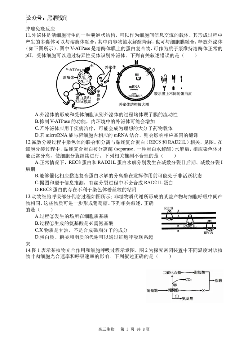 生物试题_2024-2025高三（6-6月题库）_2024年09月试卷_0930四川省遂宁市射洪中学2024-2025学年高三上学期一模_四川省遂宁市射洪中学2024-2025学年高三上学期一模生物试题Word版含答案