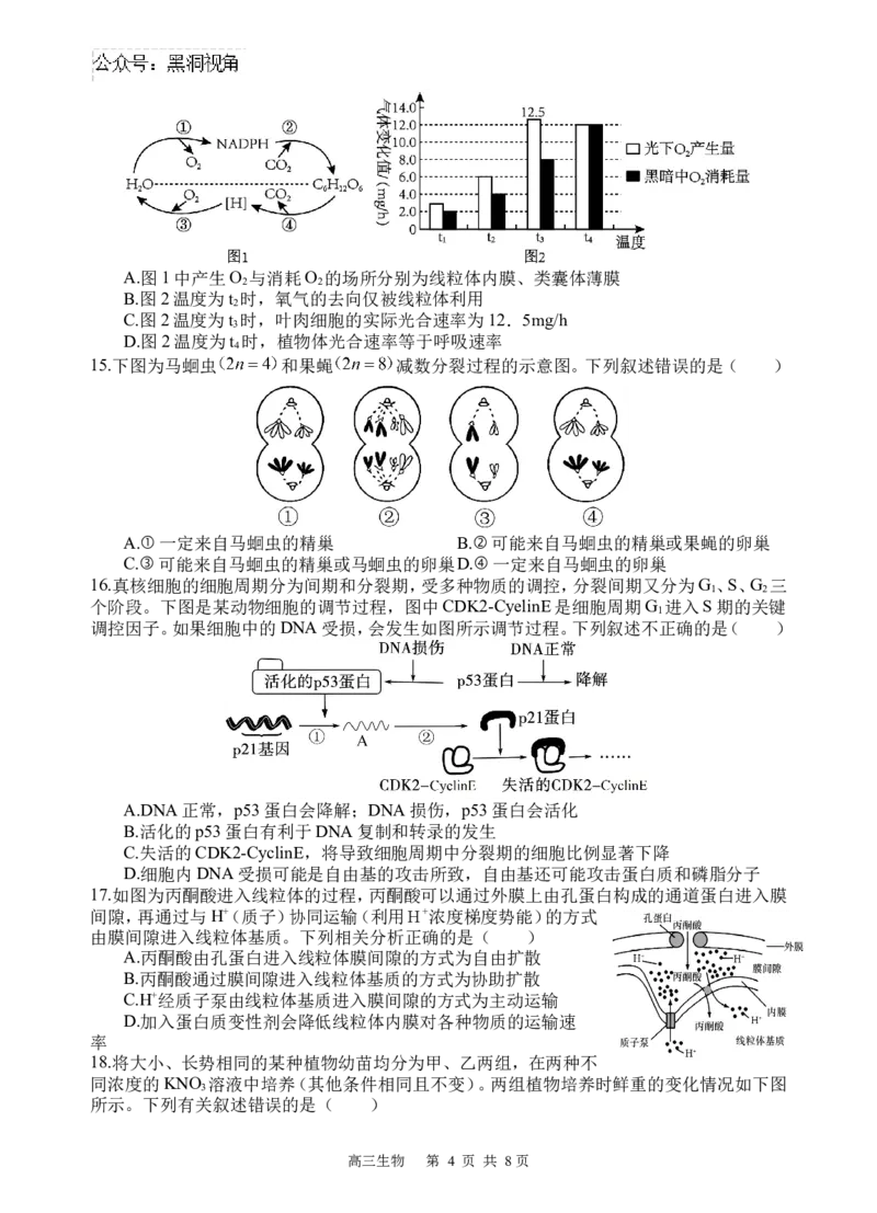 生物试题_2024-2025高三（6-6月题库）_2024年09月试卷_0930四川省遂宁市射洪中学2024-2025学年高三上学期一模_四川省遂宁市射洪中学2024-2025学年高三上学期一模生物试题Word版含答案
