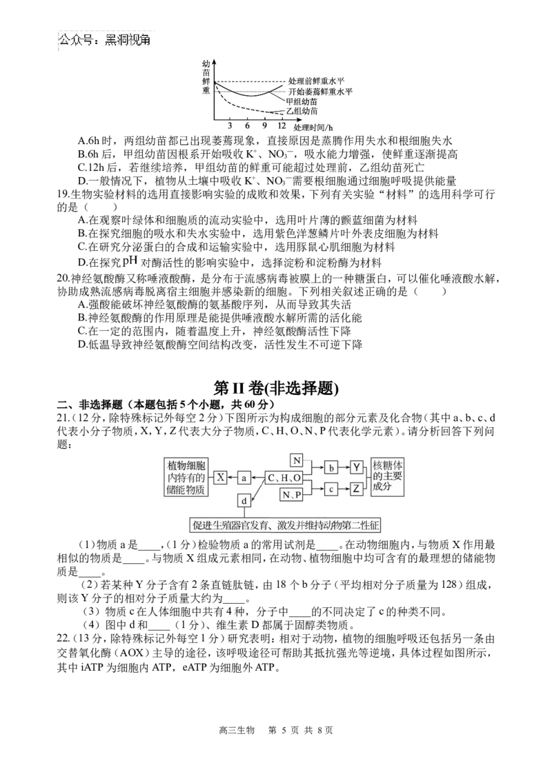 生物试题_2024-2025高三（6-6月题库）_2024年09月试卷_0930四川省遂宁市射洪中学2024-2025学年高三上学期一模_四川省遂宁市射洪中学2024-2025学年高三上学期一模生物试题Word版含答案