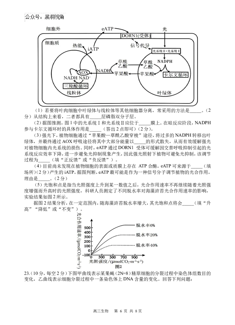 生物试题_2024-2025高三（6-6月题库）_2024年09月试卷_0930四川省遂宁市射洪中学2024-2025学年高三上学期一模_四川省遂宁市射洪中学2024-2025学年高三上学期一模生物试题Word版含答案