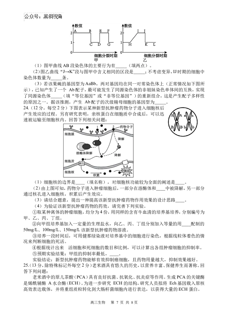 生物试题_2024-2025高三（6-6月题库）_2024年09月试卷_0930四川省遂宁市射洪中学2024-2025学年高三上学期一模_四川省遂宁市射洪中学2024-2025学年高三上学期一模生物试题Word版含答案