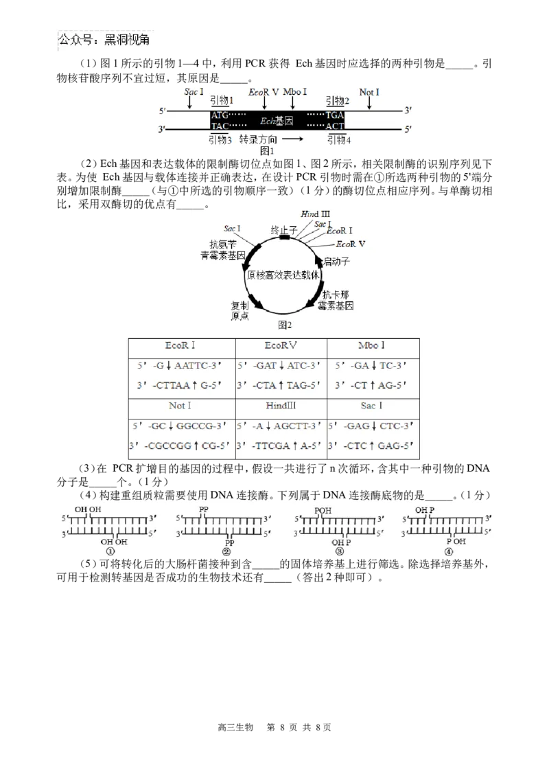 生物试题_2024-2025高三（6-6月题库）_2024年09月试卷_0930四川省遂宁市射洪中学2024-2025学年高三上学期一模_四川省遂宁市射洪中学2024-2025学年高三上学期一模生物试题Word版含答案