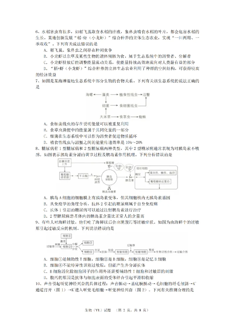 湖南省长沙市雅礼中学2024-2025学年高三上学期（9月）综合自主测试生物+答案_2024-2025高三（6-6月题库）_2024年09月试卷