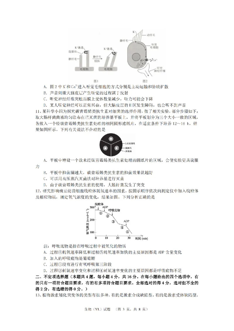 湖南省长沙市雅礼中学2024-2025学年高三上学期（9月）综合自主测试生物+答案_2024-2025高三（6-6月题库）_2024年09月试卷