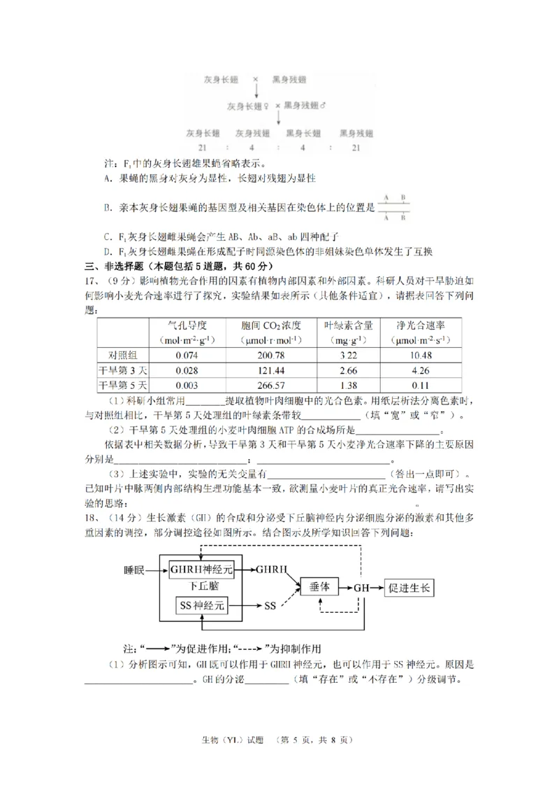 湖南省长沙市雅礼中学2024-2025学年高三上学期（9月）综合自主测试生物+答案_2024-2025高三（6-6月题库）_2024年09月试卷