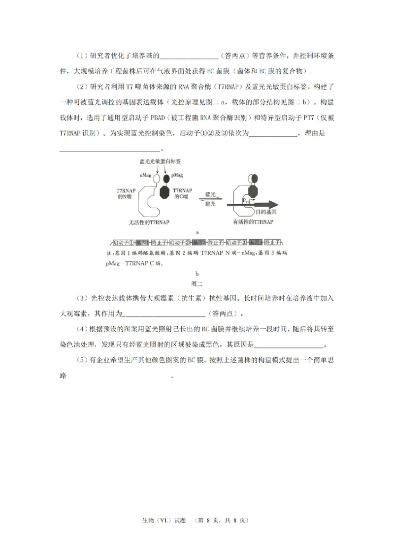 湖南省长沙市雅礼中学2024-2025学年高三上学期（9月）综合自主测试生物+答案_2024-2025高三（6-6月题库）_2024年09月试卷