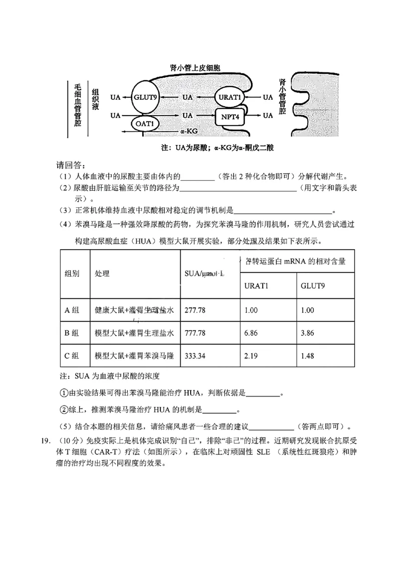 生物试题_2024-2025高二（7-7月题库）_2024年12月试卷_1220安徽省&ldquo;江南十校&rdquo;2024年高二年级12月份阶段联考_安徽省江南十校2024-2025学年高二上学期12月联考生物试题