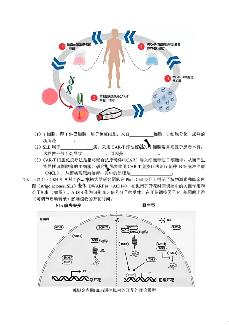 生物试题_2024-2025高二（7-7月题库）_2024年12月试卷_1220安徽省&ldquo;江南十校&rdquo;2024年高二年级12月份阶段联考_安徽省江南十校2024-2025学年高二上学期12月联考生物试题