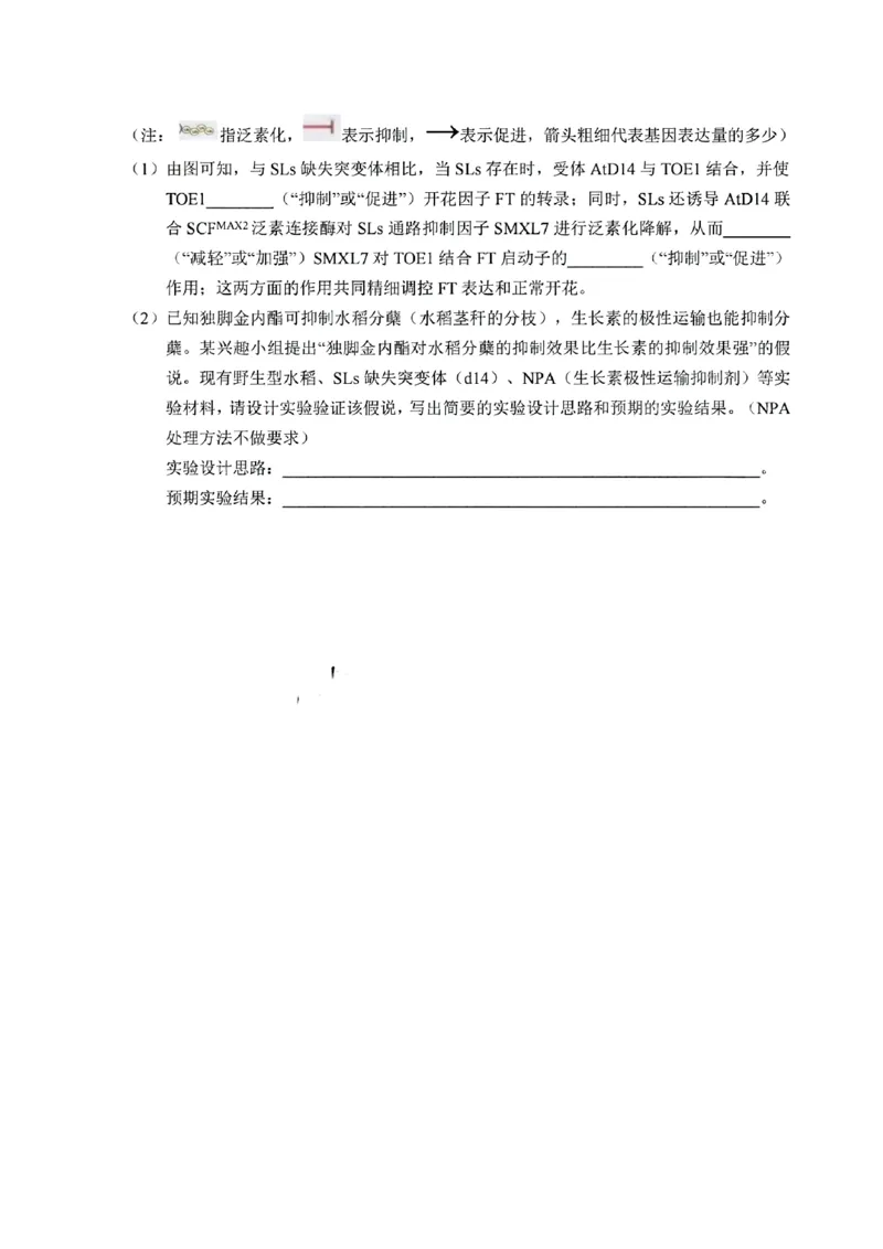 生物试题_2024-2025高二（7-7月题库）_2024年12月试卷_1220安徽省&ldquo;江南十校&rdquo;2024年高二年级12月份阶段联考_安徽省江南十校2024-2025学年高二上学期12月联考生物试题