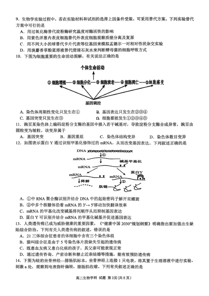 浙江省金砖联盟2025学年第一学期期中联考高二年级生物学科试题_251207浙江省金砖高中联盟2025-2026学年高二上学期11月期中考试（全）