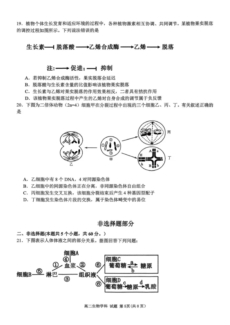 浙江省金砖联盟2025学年第一学期期中联考高二年级生物学科试题_251207浙江省金砖高中联盟2025-2026学年高二上学期11月期中考试（全）