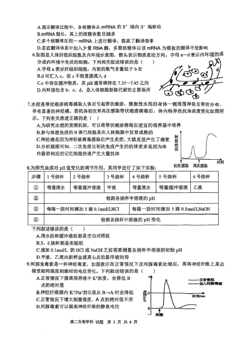 浙江省&rdquo;七彩阳光&ldquo;新高考研究联盟2025-2026学年高二上学期期中联考生物试卷（图片版，含答案）_251207浙江省&rdquo;七彩阳光&ldquo;新高考研究联盟2025-2026学年高二上学期期中（全）