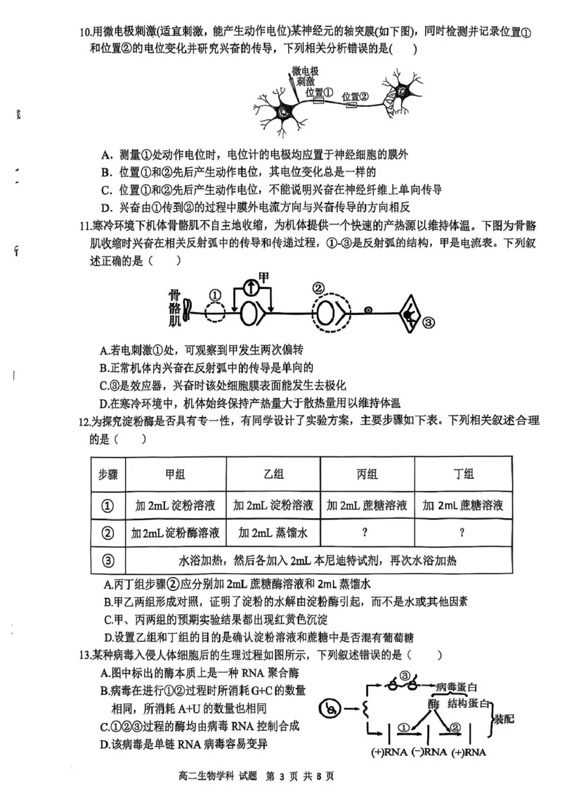 浙江省&rdquo;七彩阳光&ldquo;新高考研究联盟2025-2026学年高二上学期期中联考生物试卷（图片版，含答案）_251207浙江省&rdquo;七彩阳光&ldquo;新高考研究联盟2025-2026学年高二上学期期中（全）