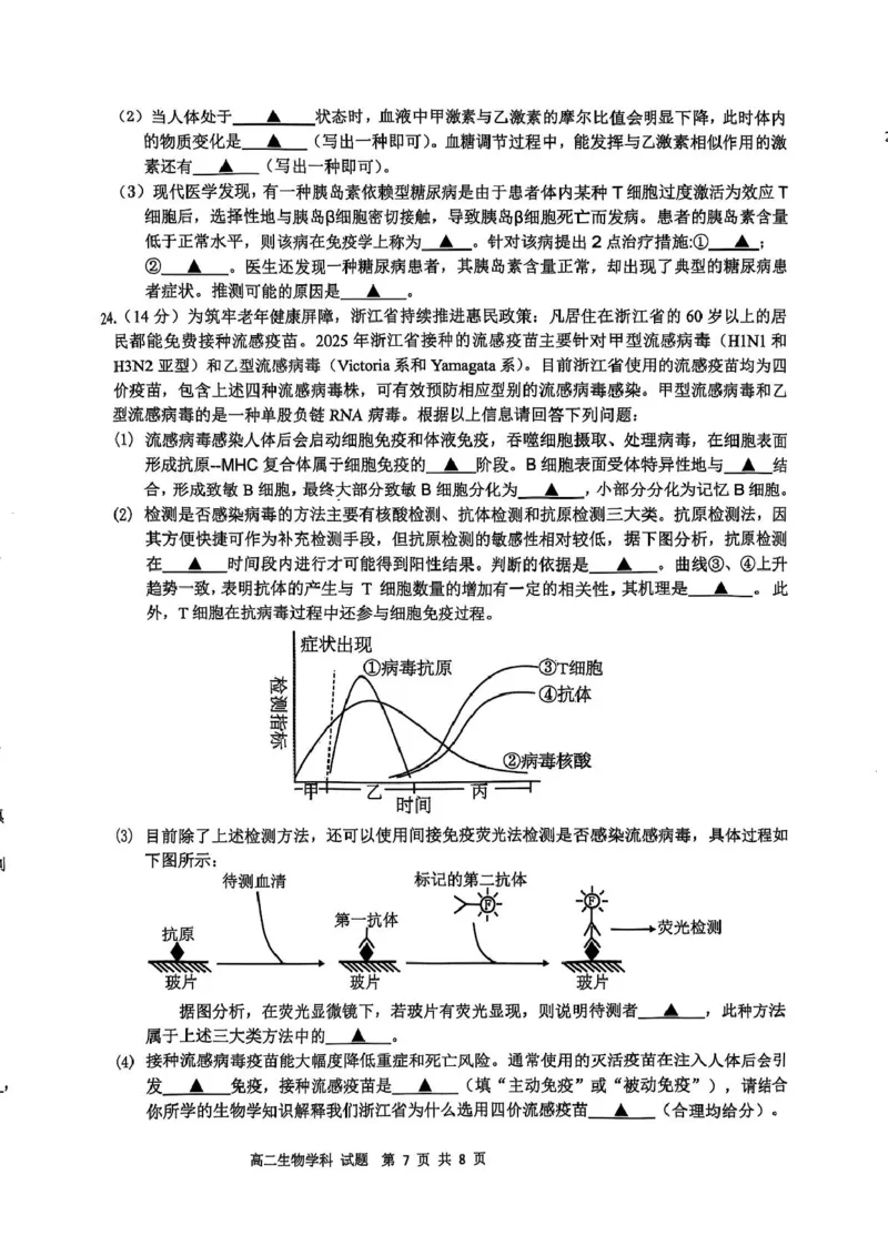 浙江省&rdquo;七彩阳光&ldquo;新高考研究联盟2025-2026学年高二上学期期中联考生物试卷（图片版，含答案）_251207浙江省&rdquo;七彩阳光&ldquo;新高考研究联盟2025-2026学年高二上学期期中（全）