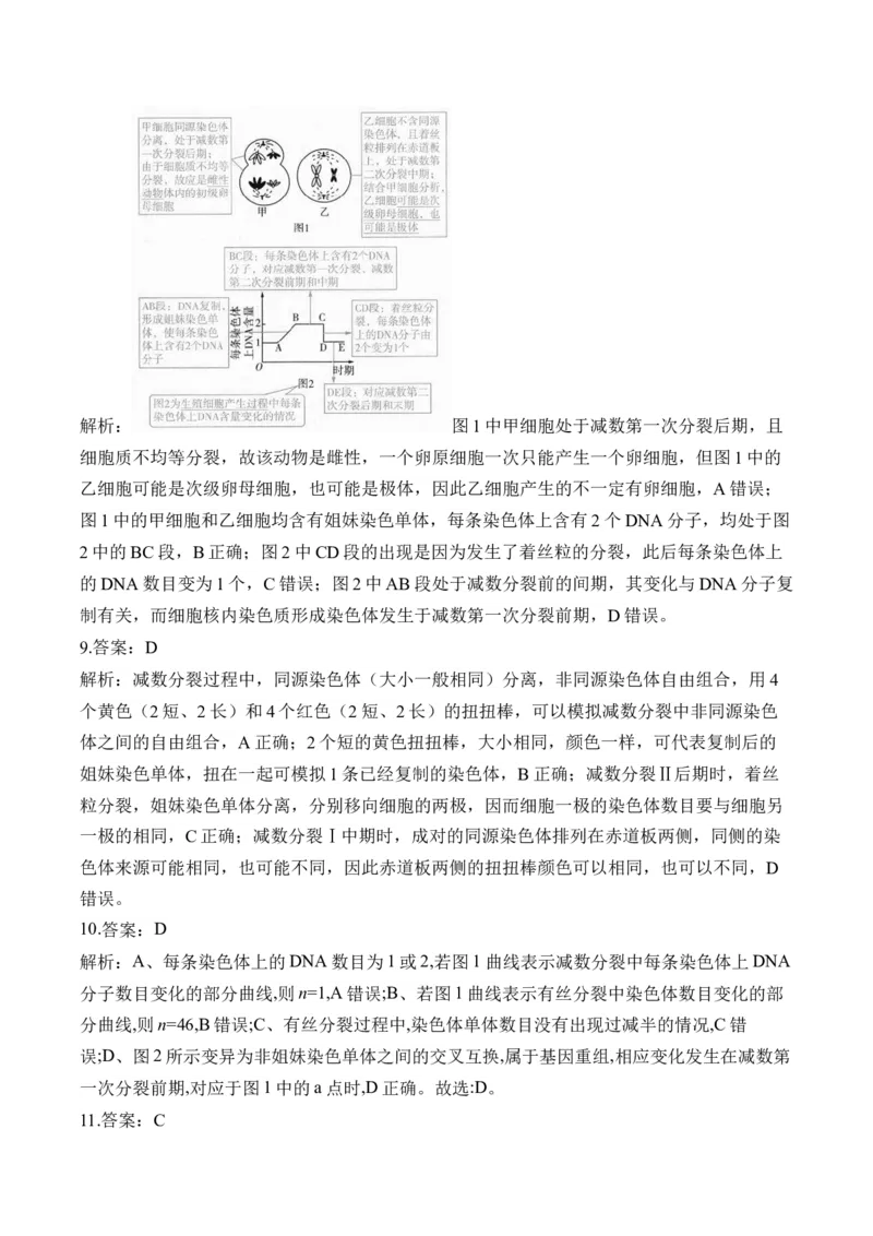 （8）遗传的细胞基础&mdash;&mdash;高考生物二轮复习易错重难提升（含解析）_2024-2025高三（6-6月题库）_2026年1月高三_260104高考生物二轮复习易错重难提升（含解析）