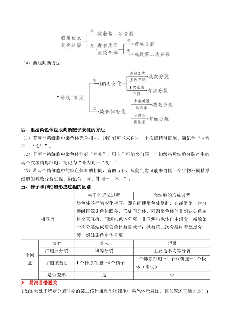 （8）遗传的细胞基础&mdash;&mdash;高考生物二轮复习易错重难提升（含解析）_2024-2025高三（6-6月题库）_2026年1月高三_260104高考生物二轮复习易错重难提升（含解析）