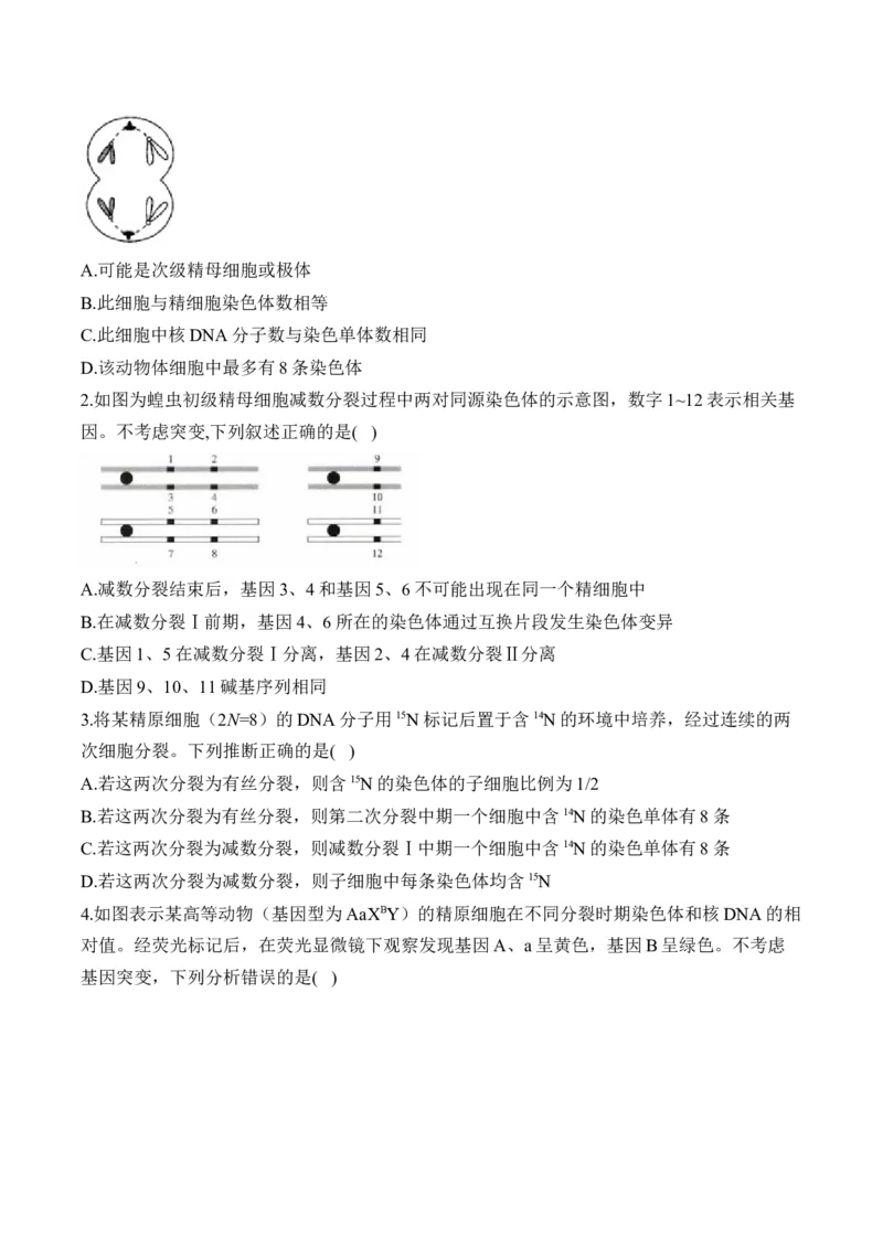 （8）遗传的细胞基础&mdash;&mdash;高考生物二轮复习易错重难提升（含解析）_2024-2025高三（6-6月题库）_2026年1月高三_260104高考生物二轮复习易错重难提升（含解析）