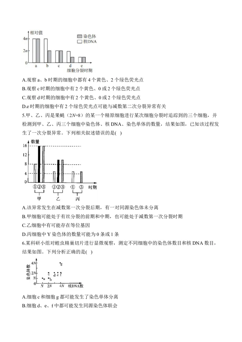（8）遗传的细胞基础&mdash;&mdash;高考生物二轮复习易错重难提升（含解析）_2024-2025高三（6-6月题库）_2026年1月高三_260104高考生物二轮复习易错重难提升（含解析）